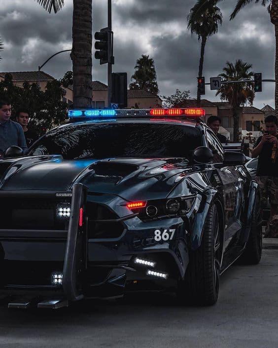 Patrullas - Imagen de producto